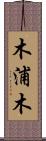 木浦木 Scroll