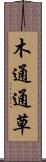木通 Scroll