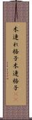木連れ格子 Scroll