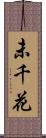 未千花 Scroll