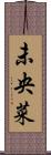 未央菜 Scroll