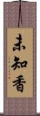 未知香 Scroll