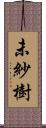 未紗樹 Scroll