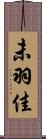 未羽佳 Scroll