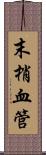 末梢血管 Scroll