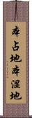 本占地 Scroll