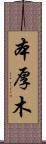 本厚木 Scroll