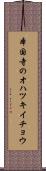 本国寺のオハツキイチョウ Scroll