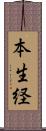 本生経 Scroll