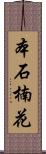 本石楠花 Scroll