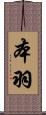 本羽 Scroll