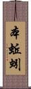 本蚯蚓 Scroll