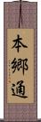 本郷通 Scroll