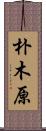 朴木原 Scroll