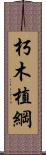 朽木植綱 Scroll