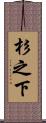 杉之下 Scroll