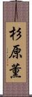 杉原薫 Scroll