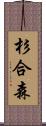 杉合森 Scroll