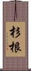 杉根 Scroll