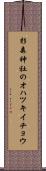杉森神社のオハツキイチョウ Scroll