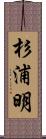 杉浦明 Scroll