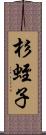 杉蛭子 Scroll