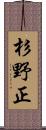 杉野正 Scroll