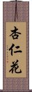 杏仁花 Scroll