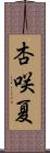 杏咲夏 Scroll