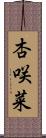杏咲菜 Scroll