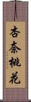 杏奈桃花 Scroll