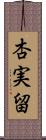 杏実留 Scroll