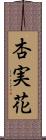 杏実花 Scroll