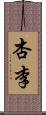 杏李 Scroll