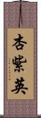 杏紫英 Scroll