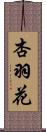 杏羽花 Scroll