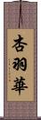 杏羽華 Scroll