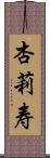 杏莉寿 Scroll