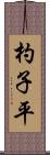 杓子平 Scroll