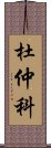 杜仲科 Scroll