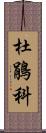 杜鵑科 Scroll