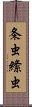 条虫 Scroll
