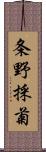 条野採菊 Scroll