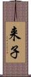 来子 Scroll