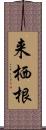 来栖根 Scroll