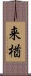 来楢 Scroll