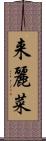 来麗菜 Scroll