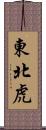 東北虎 Scroll