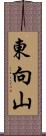 東向山 Scroll