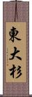 東大杉 Scroll